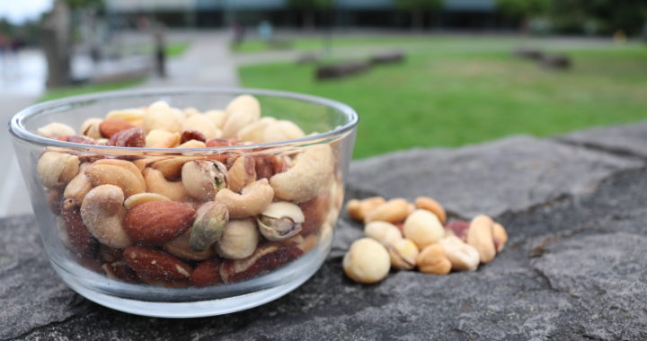 A thousand squirrels can’t be wrong