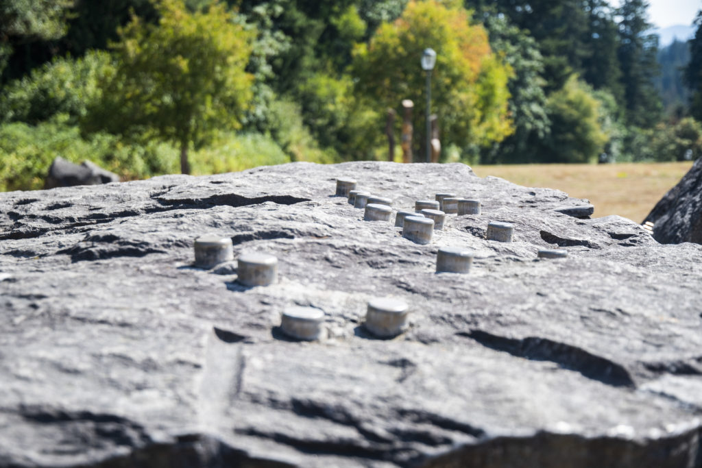 Artwork on the walls, on the rocks and in the cases of the  WSU Vancouver library