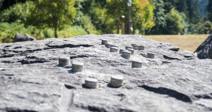 Artwork on the walls, on the rocks and in the cases of the  WSU Vancouver library