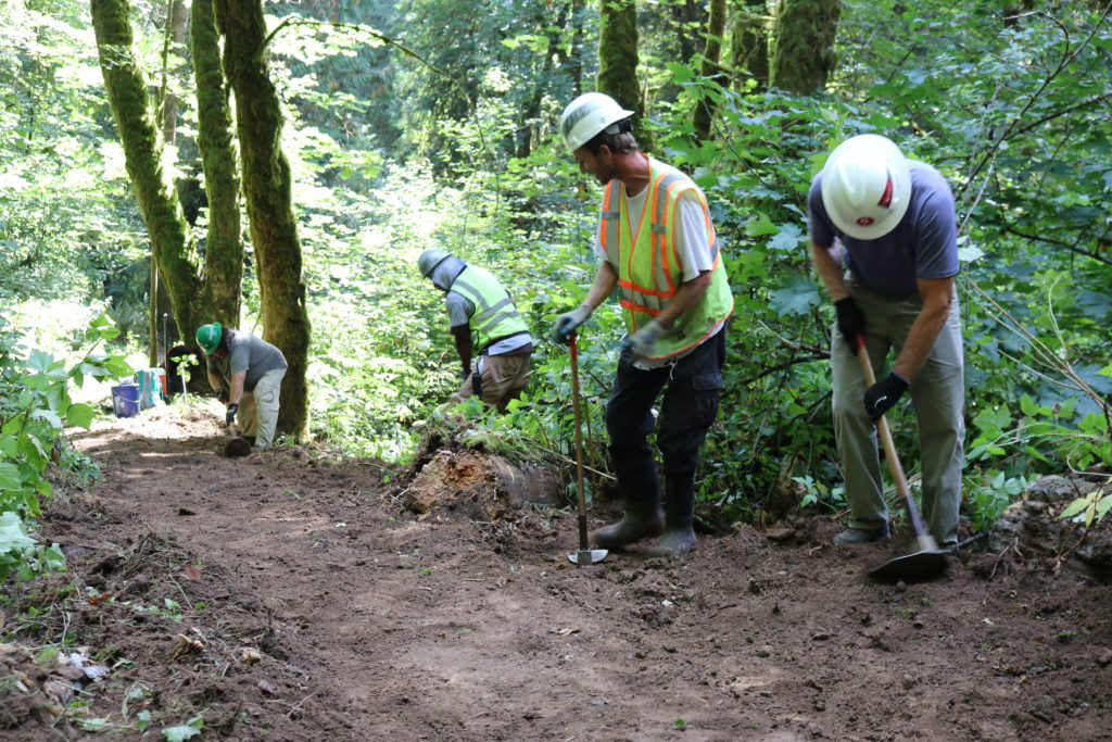 Cougs in the Community help restore Cougar trails