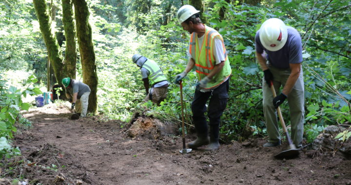 Cougs in the Community help restore Cougar trails