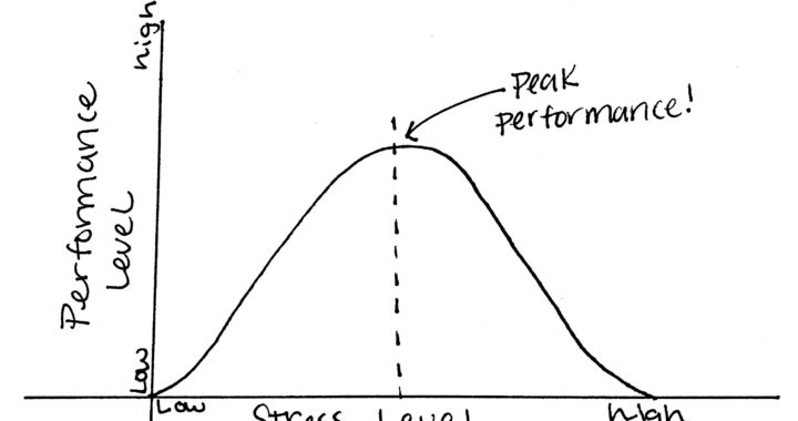 Holidays + finals = stress