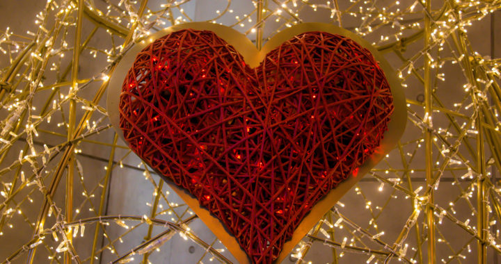 Opinion: “Ovaries before brovaries”