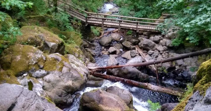 What did VanCougs do this summer?