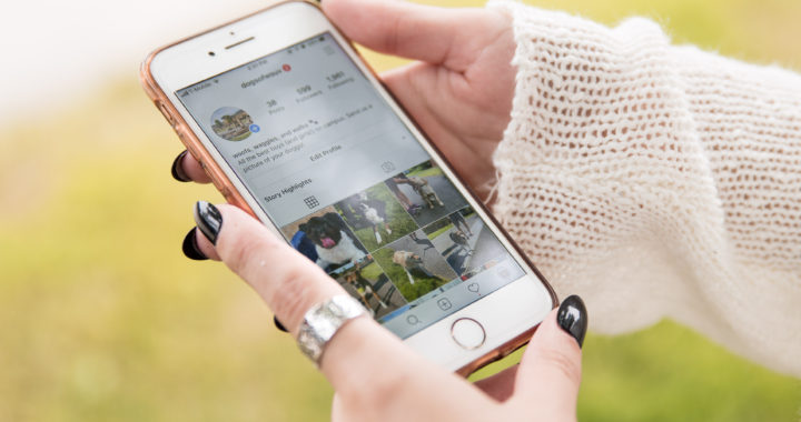 How one Instagram account combats the dog days on campus