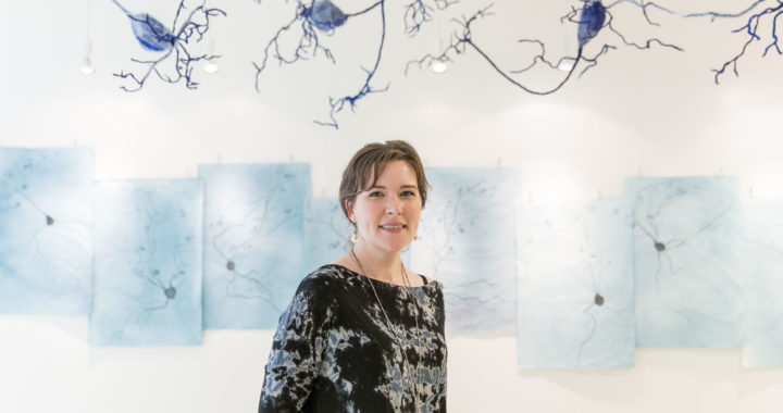 Cerebral Entanglement: When art and science combine