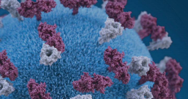 A Conversation on the 2019 Measles Outbreak: Let’s Talk About Vaccines