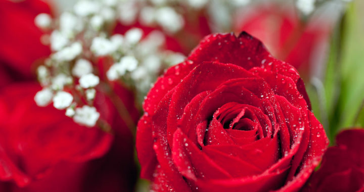 Love at first ‘Super Like’: The evolution of casual dating