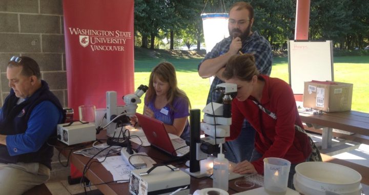 Commemorating 50 years of Earth Day with research