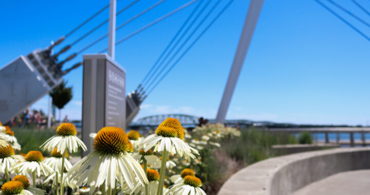 4 Vancouver hotspots worth visiting this summer