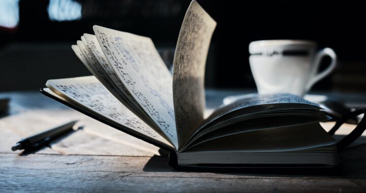 Novelists prepare for National Novel Writing Month