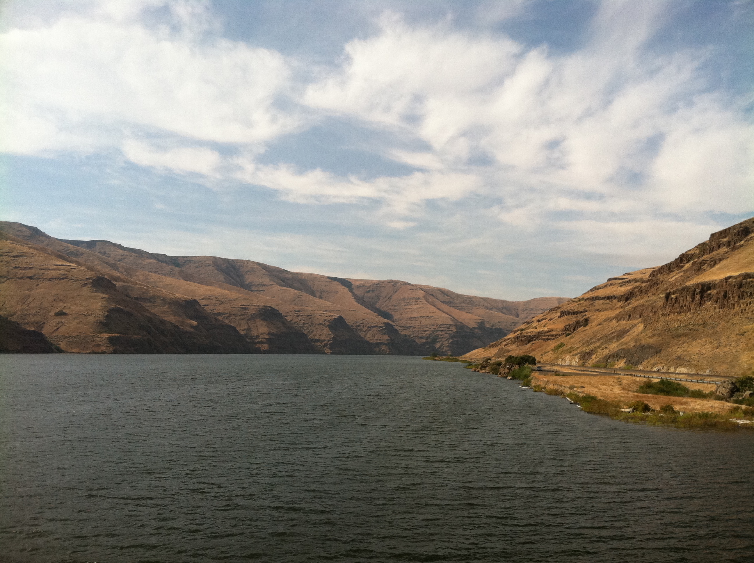 Down with the dams: Free the Snake River and Nimiipuu Canoe Project