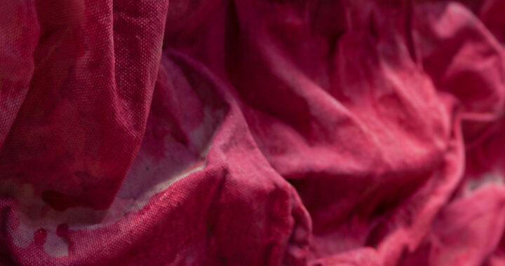 Shara Chwaliszewski brings her art to life with ‘Things Becoming Things’