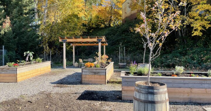 Food Sovereignty and Justice with Cecile Evans