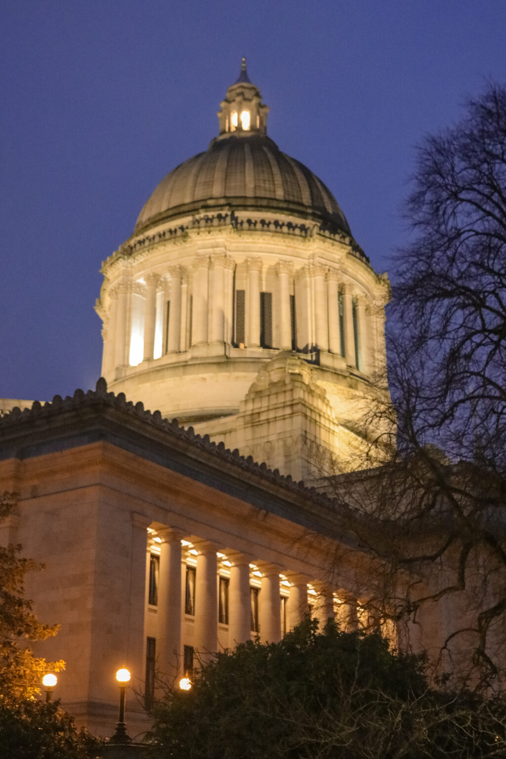 A picture of the Washington State Capitol Building at night.