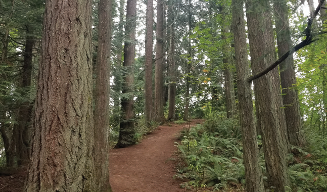 Take a Hike on the Orange Loop Trail, a Hidden Gem on University Property