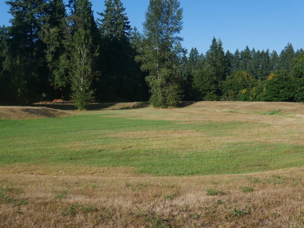 A view from outside the "bowl." (Chris Turk/The VanCougar)