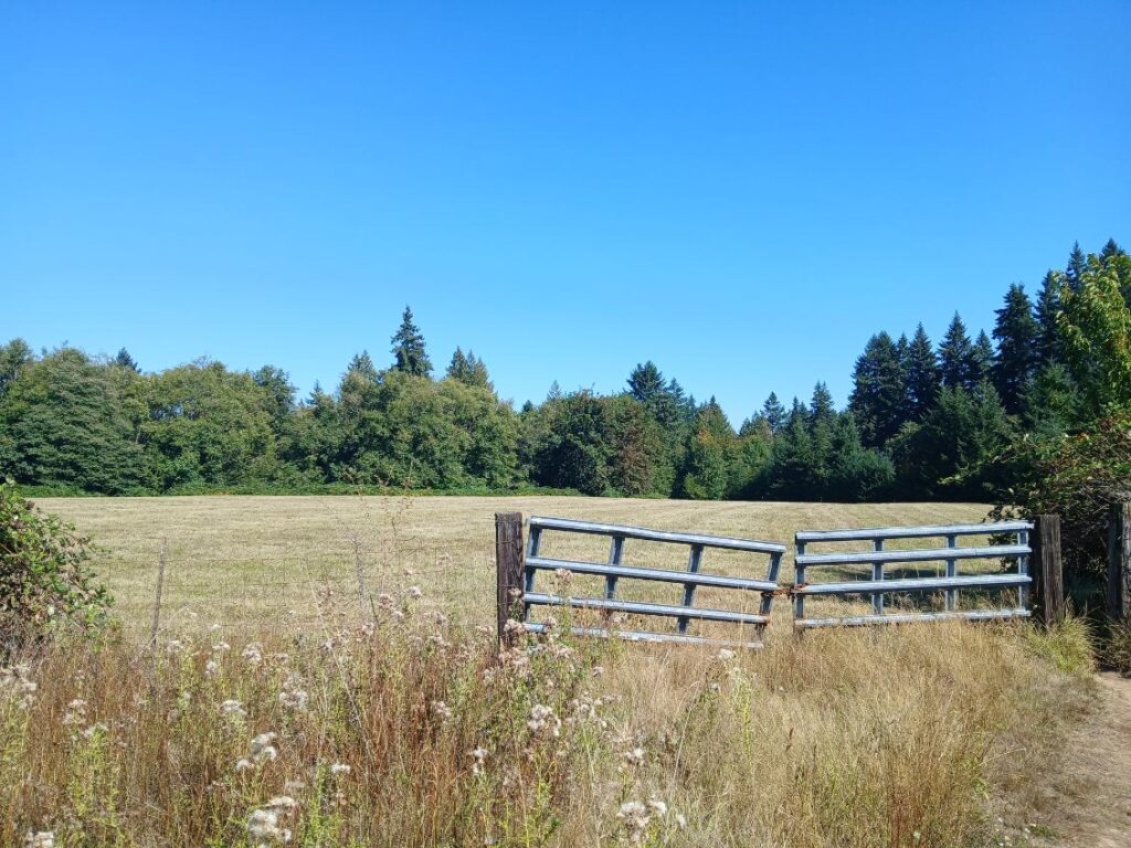 A gate near an open field. (Chris Turk/The VanCougar)