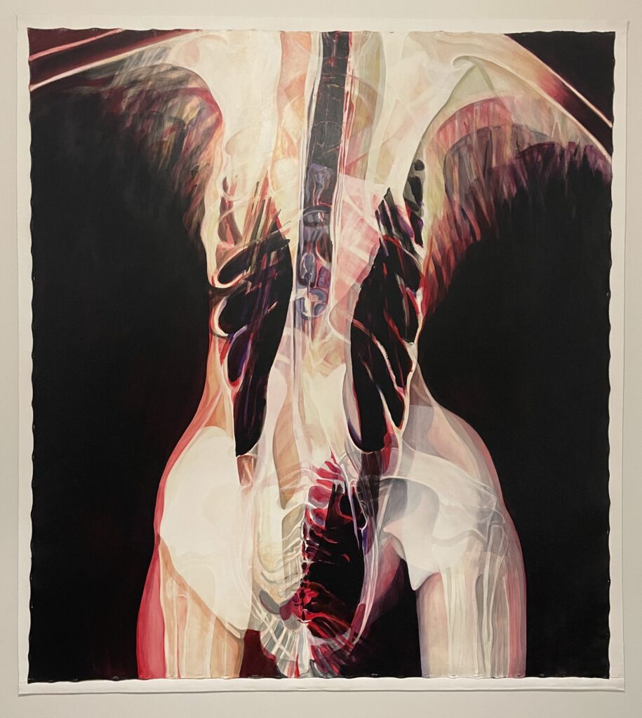 "DANCER/MANDARIN CRANE (CL-016BRD)" - An abstract X-ray painting of a stretched figure. (Jonah Barnett/The VanCougar)