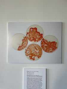 Hidden in the Reef, created by Sunny Ly & Oscar Gonzalez (Jonah Barnett / The VanCougar)