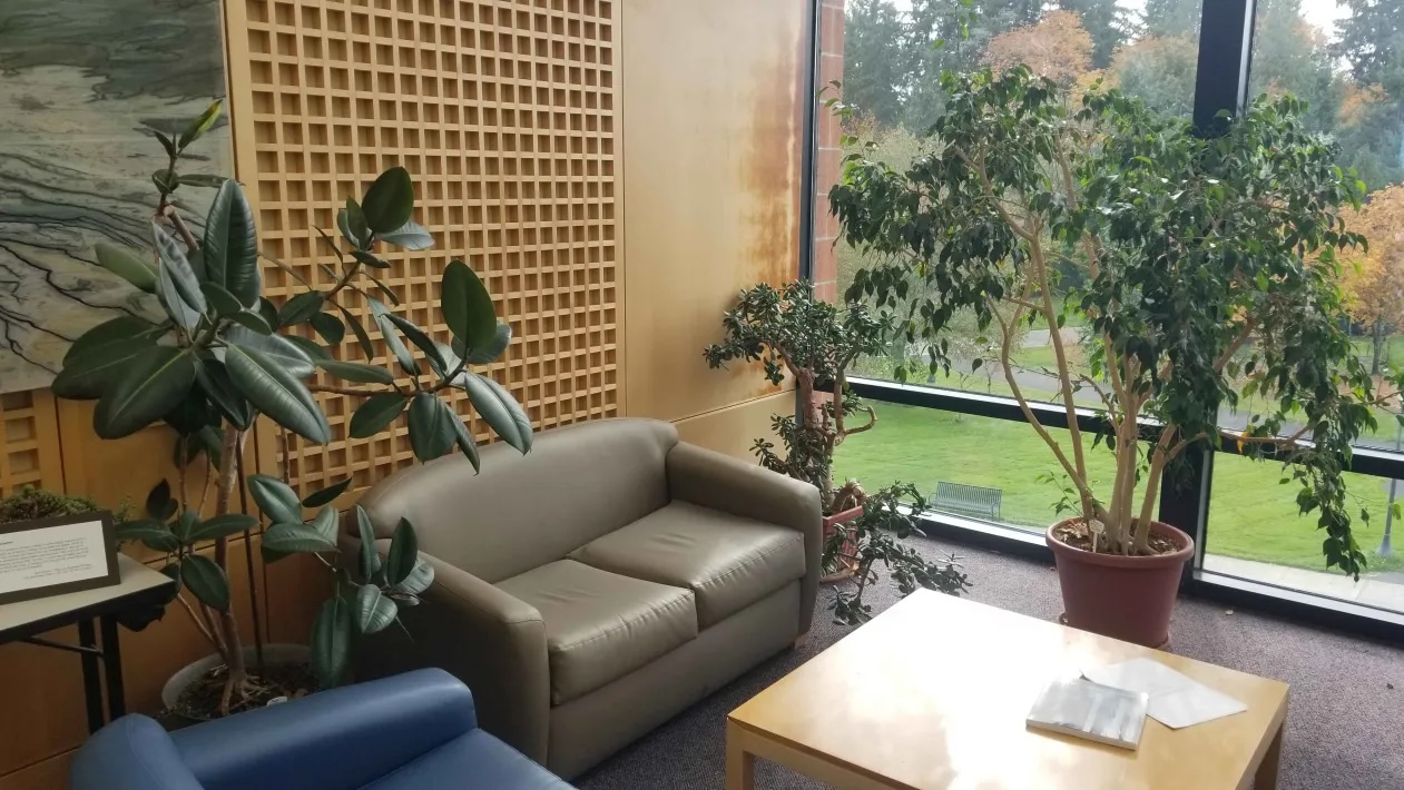 Some of the plants kept in the atrium of the building. (Pip Swinger / The VanCougar)