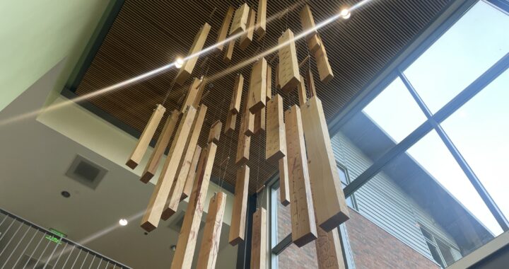 Impressions of a WSUV Douglas Fir